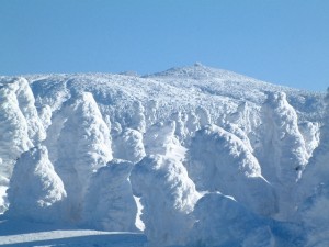 山形県　蔵王ライザの樹氷原